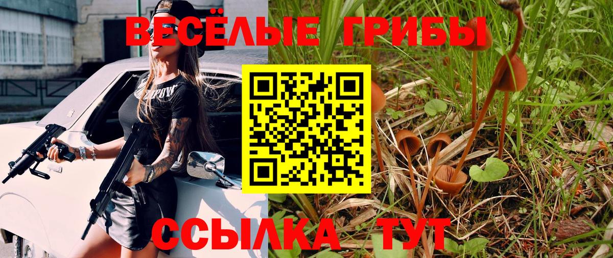 Псилоцибиновые грибы ЛСД Кострома