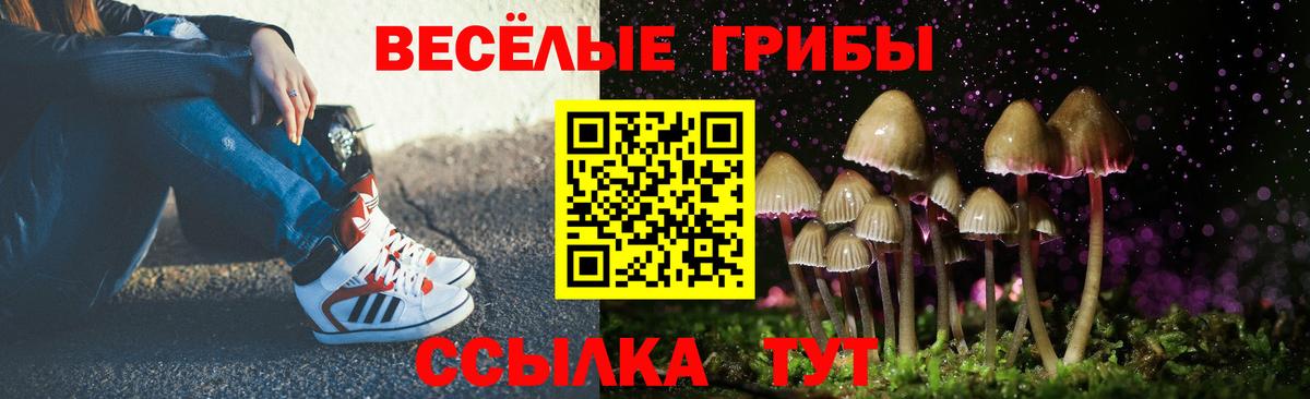 А ПВП Кострома